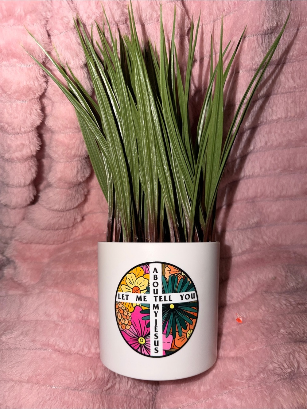 Potting Fox plant for indoor integrative use